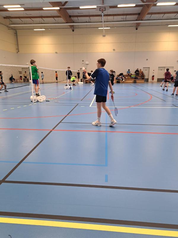Régional de badminton 