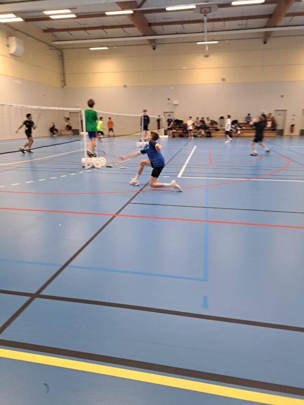 Régional de badminton 