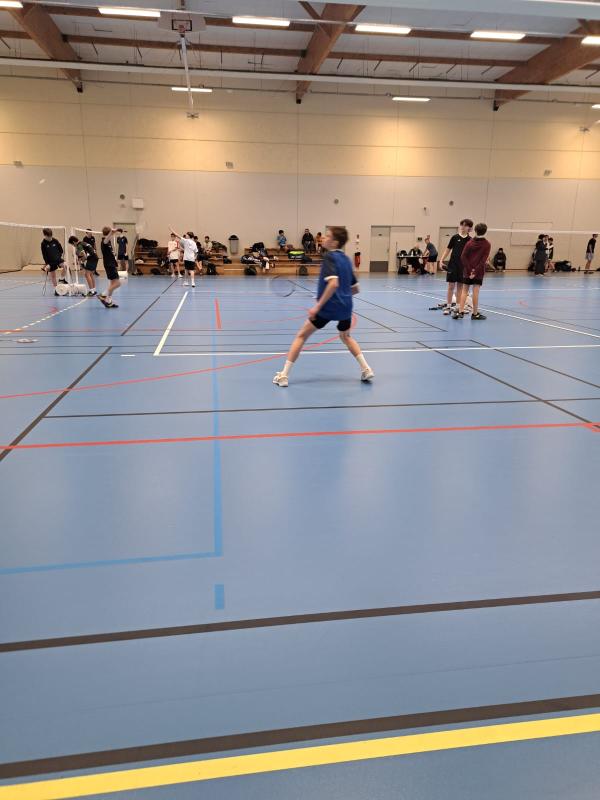 Régional de badminton 